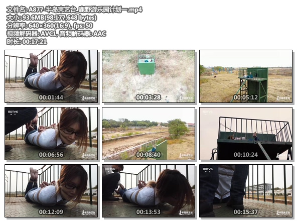A877-半岛束艺台_鹿野游乐园计划一.jpg