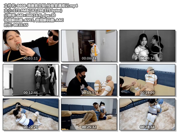 B608-得意客定制_检察官遇难记.jpg