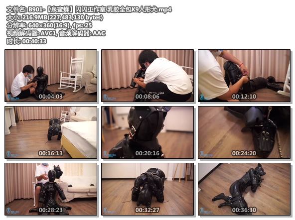 B901-【泉蜜蜂】闪闪工作室 乳胶全包K9人形犬.jpg