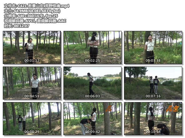 C421-胜景山庄_荒野惊魂.jpg