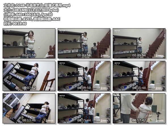D248-半岛束艺台_吸墙式悬吊.jpg