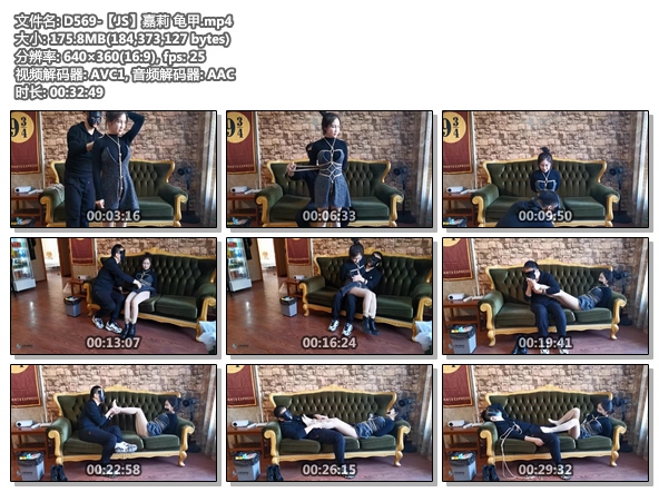 D569-【JS】嘉莉 龟甲.jpg