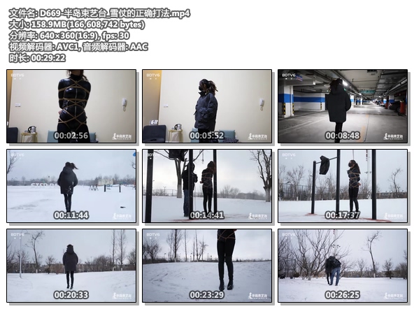 D669-半岛束艺台_雪仗的正确打法.jpg