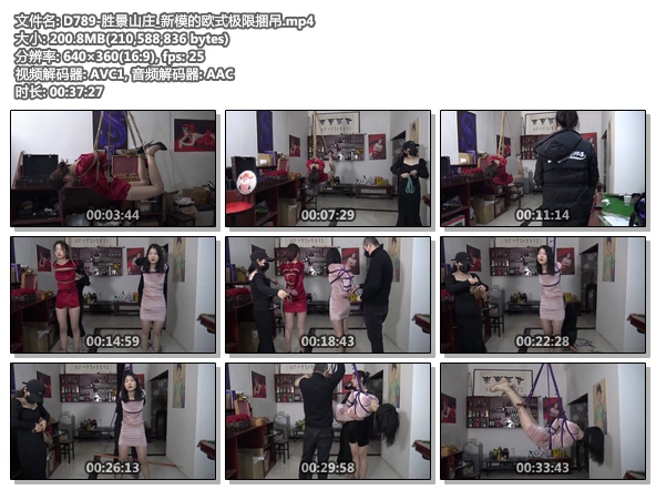 D789-胜景山庄_新模的欧式极限捆吊.jpg