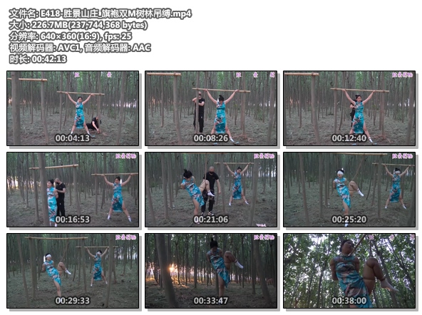 E418-胜景山庄_旗袍双M树林吊缚.jpg