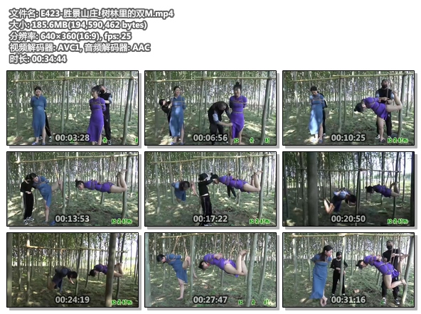 E423-胜景山庄_树林里的双M.jpg