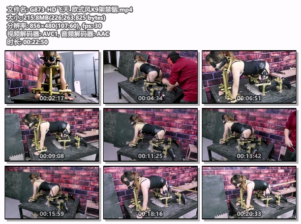 G873-HD飞天_欧式风K9架禁锢.jpg