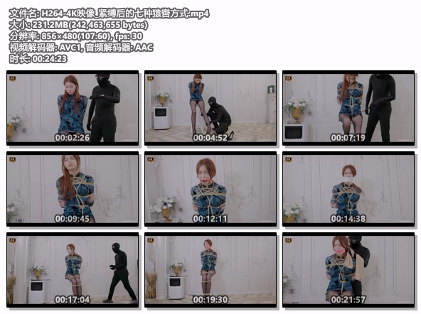 H264-4K映像_紧缚后的七种猿辔方式.jpg