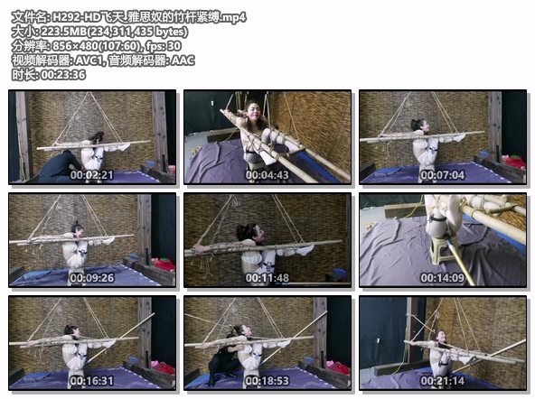 H292-HD飞天_雅思奴的竹杆紧缚.jpg