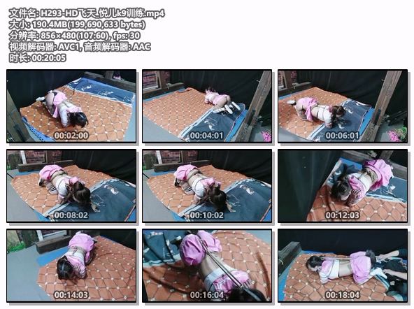 H293-HD飞天_悦儿k9训练.jpg