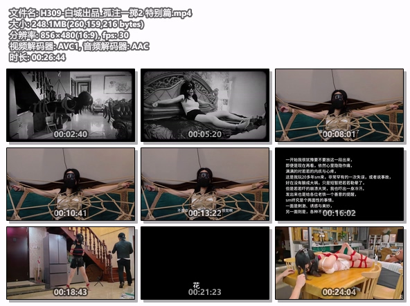H309-白城出品_孤注一掷2 特别篇.jpg