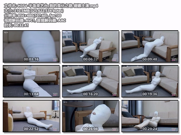 H354-半岛束艺台_我的茧化之路 缇娜主演.jpg