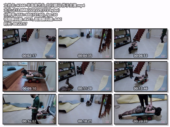H366-半岛束艺台_自行驷马 苏子主演.jpg