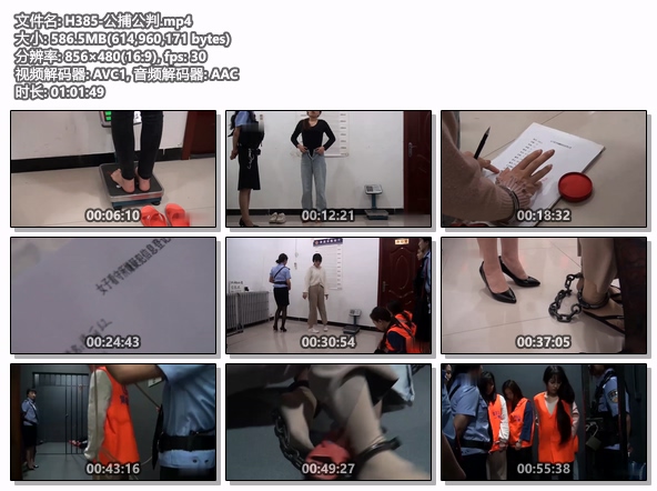 H385-公捕公判.jpg
