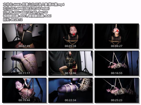 H443-胜景山庄_不良人妻 第二集.jpg
